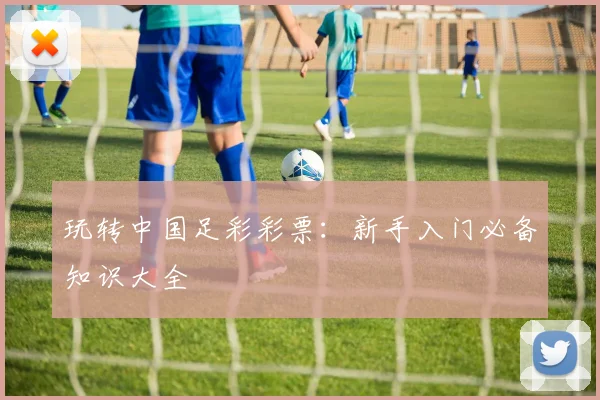 玩转中国足彩彩票：新手入门必备知识大全