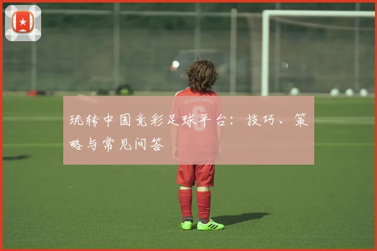玩转中国竞彩足球平台：技巧、策略与常见问答