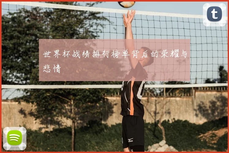 世界杯战绩排行榜单背后的荣耀与悲情